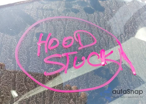 2013 Honda Pilot Ex-L z USA, uszkodzony, nr VIN 5FNYF4H52DB036353